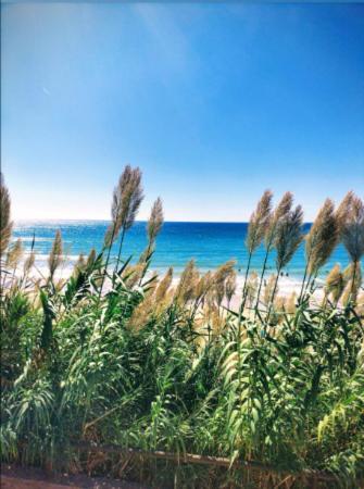 Conil Vistas Al Mar Del Roqueo, Fuente Del Gallo 콘일데라프론테라 외부 사진